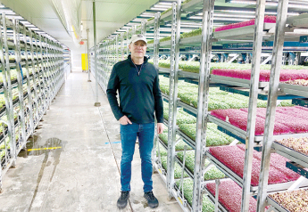 Greenhouses keeping up with demand