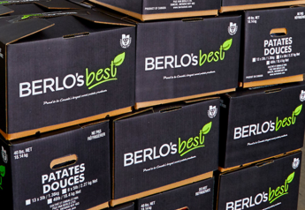 Berlo’s Best boosts sweet potatoes
