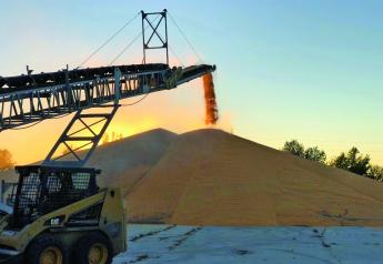 USDA: Corn, Soybean, Wheat Stocks Down