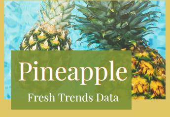 2020 pineapple purchase statistics