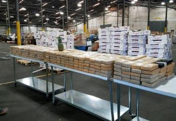 Cocaine in pineapple shipment under investigation