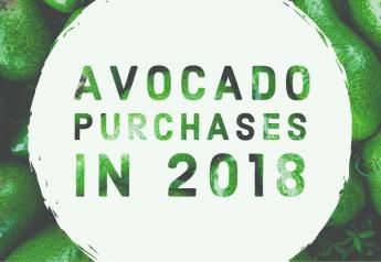 Avocado purchases in 2018