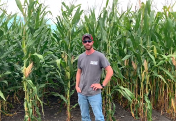 Late-season scouting doesn’t tell the whole story, but it may help you make future adjustments to your N program to maximize the grain-fill period, says Matt Duesterhaus.