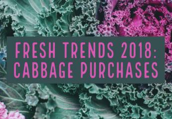 Fresh Trends 2018: cabbage purchases