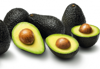 Avocados from Peru plans season full of promotions 