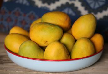 Promotable mango volume coming for Cinco de Mayo