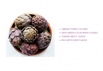 Ocean Mist's purple artichoke variety complements its green artichoke offerings.