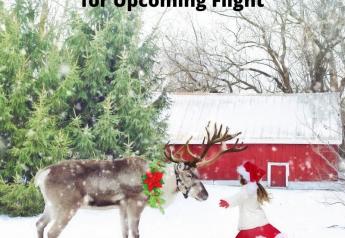 Reindeer must undergo routine vet checks before flight.