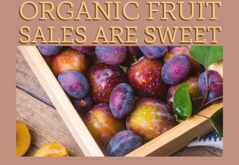 Organic fruit sales are sweet