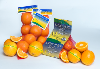 Morning Kiss Organic promotes citrus for peak season