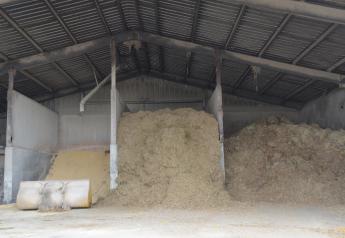 Dairy Sense: Home Raised Feed Costs vs. Market Costs