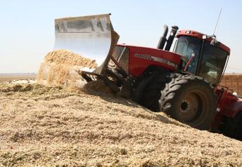 This Is Not A Typical Year For Corn Silage