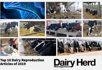 Top 10 Dairy Reproduction Articles of 2019