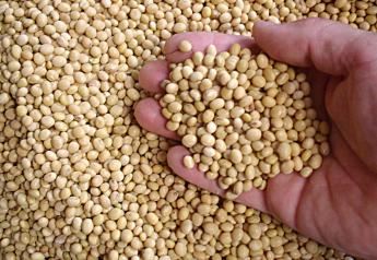 Weekly Outlook: Soybean Acreage and Exports