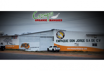 Crespo opens renovated packing facility for Mexican mango season