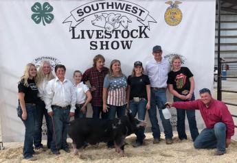 Pig Sells for Over $42,000 in Honor of Former Livestock Leader