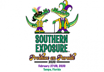 Southern Exposure holds plenty to look forward to