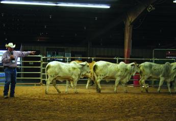 Stockmanship and Stewardship event in Ames, June 28-29