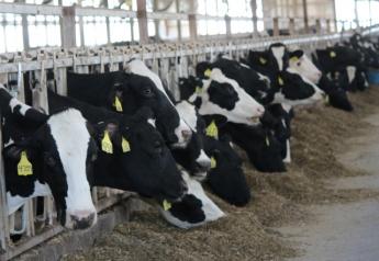 Minnesota Farmers Pitch Ways to Offer Small Dairies Relief