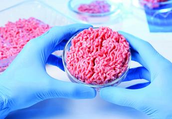 A stock image of a raw ground meat sample in a petri dish to illustrate lab-grown protein. 