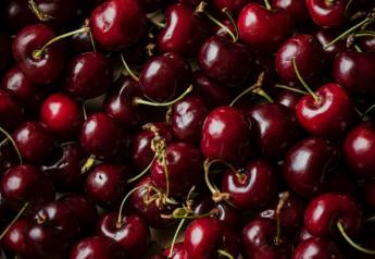 COVID-19 complicates Northwest cherry export deal somewhat