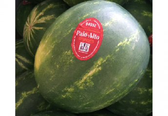 Sykes Co. adds organic seedless watermelons