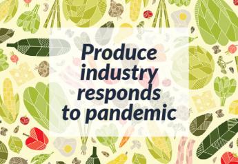 In the pandemic: Can-do attitudes, feeding families and online sales