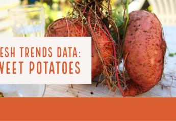 Fresh trends data: sweet potatoes 
