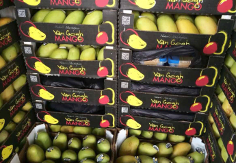 Mexican officials seize drugs in mango shipment headed to U.S.