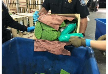 Second load of cactus contains meth at California border