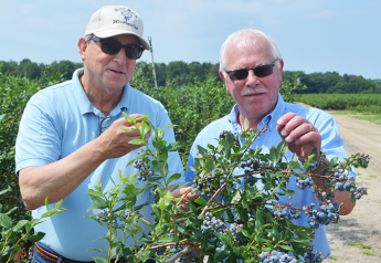 New Jersey ag secretary highlights blueberry season