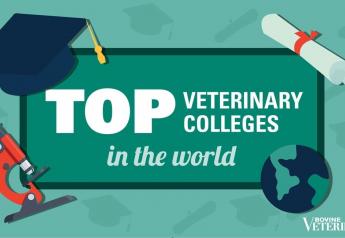 Top 10 Veterinary Colleges Announced