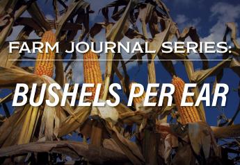 Farm Journal Series: Bushels Per Ear