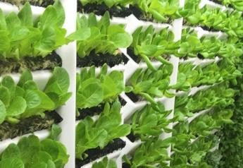 Faribault, Minn.-based Living Greens Farm is expanding its aeroponic growing space.