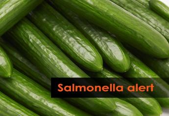 Canada increases cases in salmonella outbreak