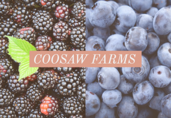 Coosaw Farms plans for extra acreage