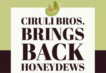 Ciruli Bros. brings back honeydews