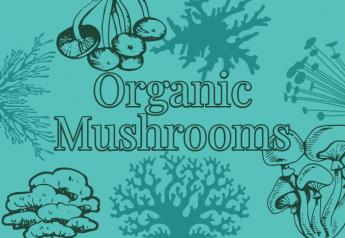 2020 Organic Fresh Trends Data: Mushrooms
