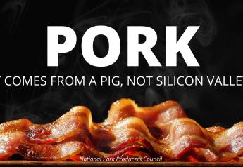 Washington Watch: “Impossible Pork” Needs to Play by the Rules