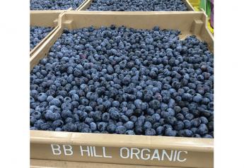 Growers answering demand for organic berries