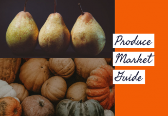 Pumpkins enter top 10 on Produce Market Guide