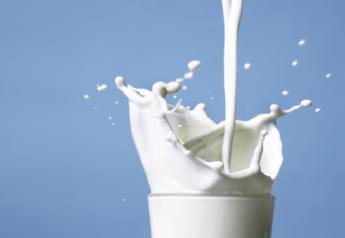 New Beverage Guidelines Recommend Milk for Children