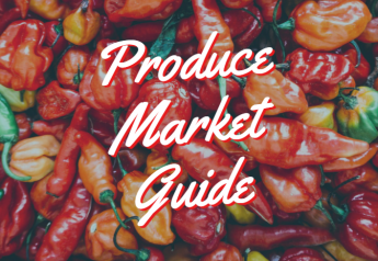 Malanga makes the top 10 on Produce Market Guide