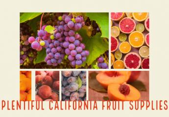California fruit suppliers anticipate plenty for summer