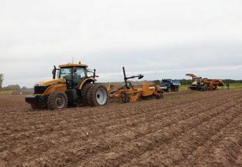 High expectations for Wisconsin potato grower-shippers 