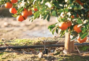 Installing water-saving irrigation systems is one way producers for Sunkist Growers Inc. practice sustainability to ensure that their farms are able to carry on for many more generations, says Christina Ward, director of global brand marketing.