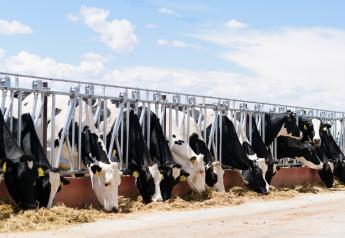 A case of bovine tuberculosis (TB) has been confirmed  at a dairy located in the Panhandle region of Texas by animal health officials.