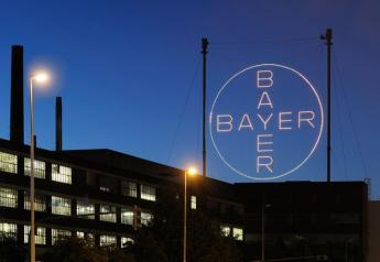 Bayer_Cross_4