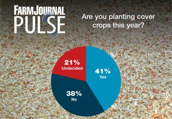Are you planting cover crops this year?