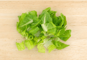 Fresh Express romaine in Wisconsin tests positive for E. coli